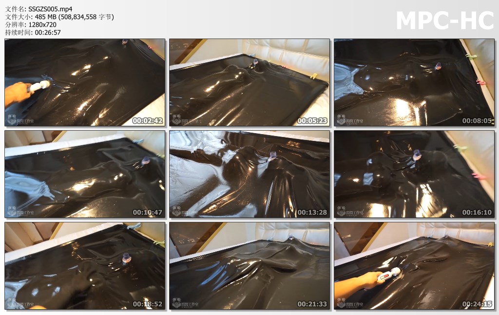 SSGZS005.mp4_thumbs.jpg