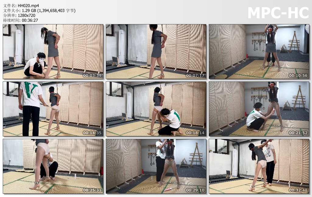 HH020.mp4_thumbs.jpg