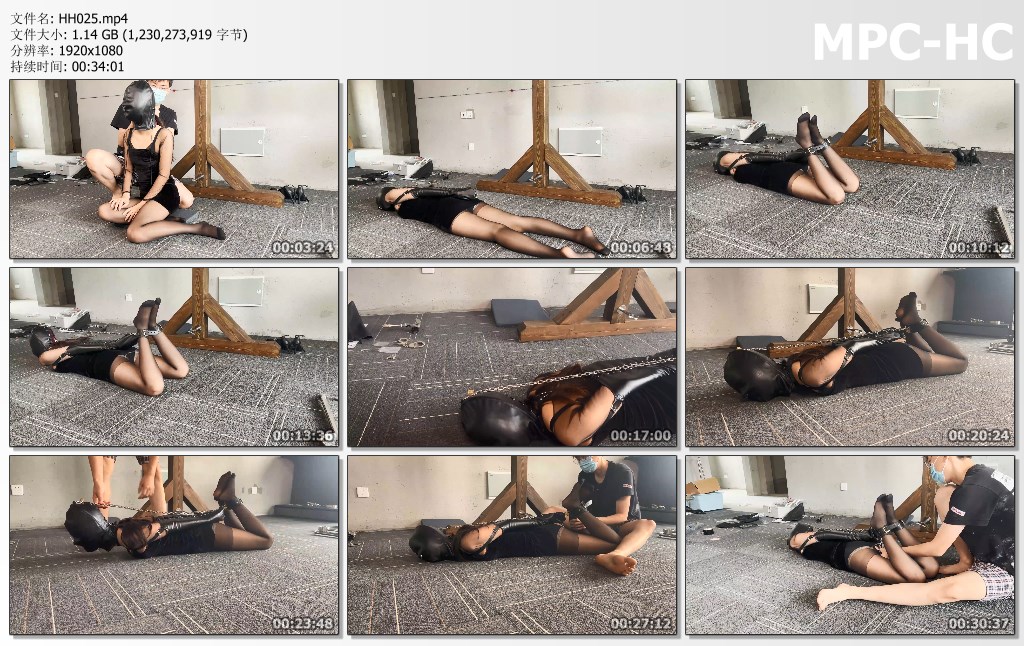 HH025.mp4_thumbs.jpg