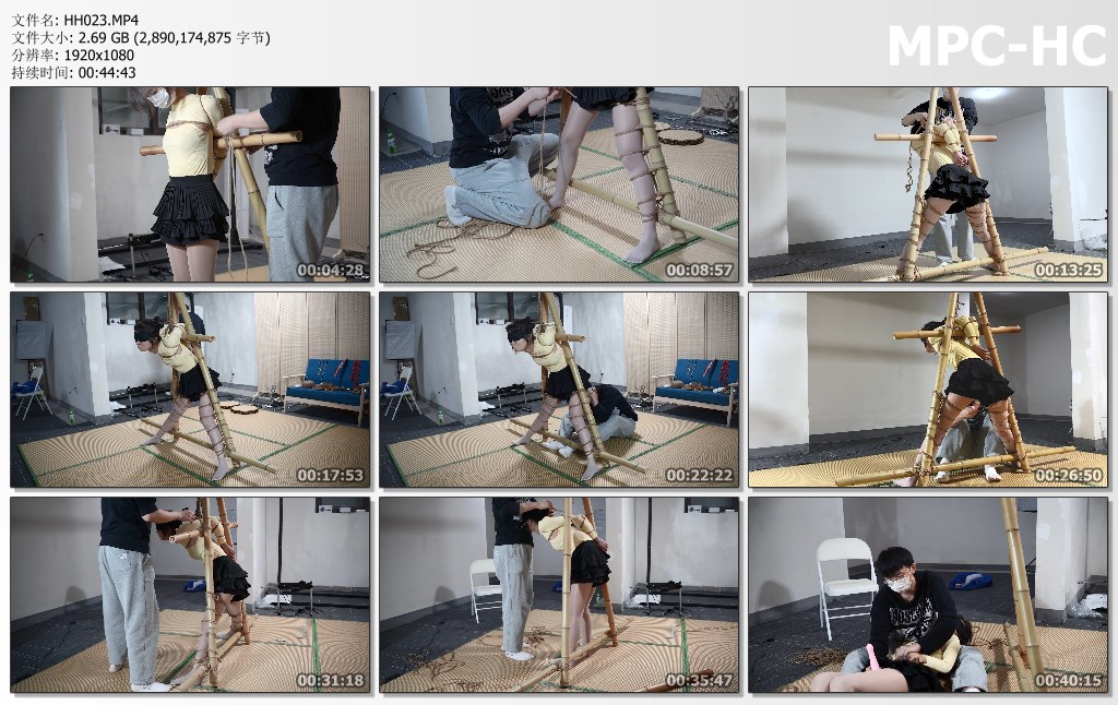 HH023.MP4_thumbs.jpg