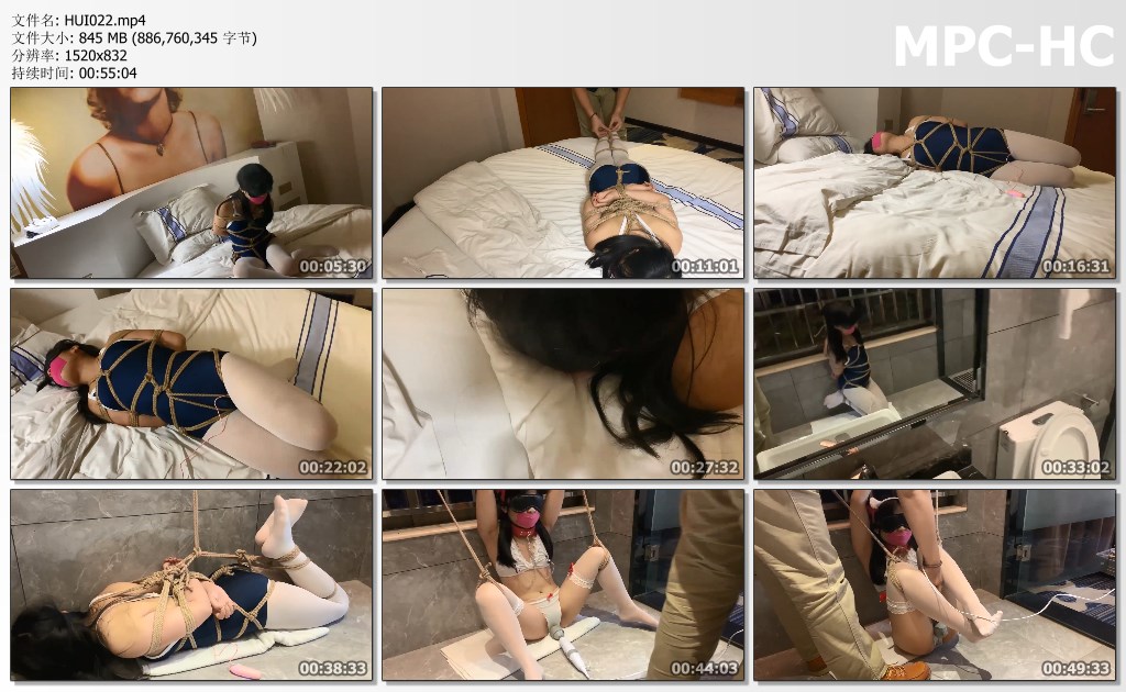 HUI022.mp4_thumbs.jpg