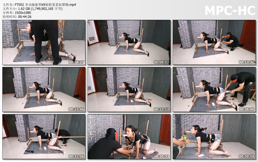 FT052 多功能新型k9架把柔柔奴禁锢.mp4_thumbs.jpg