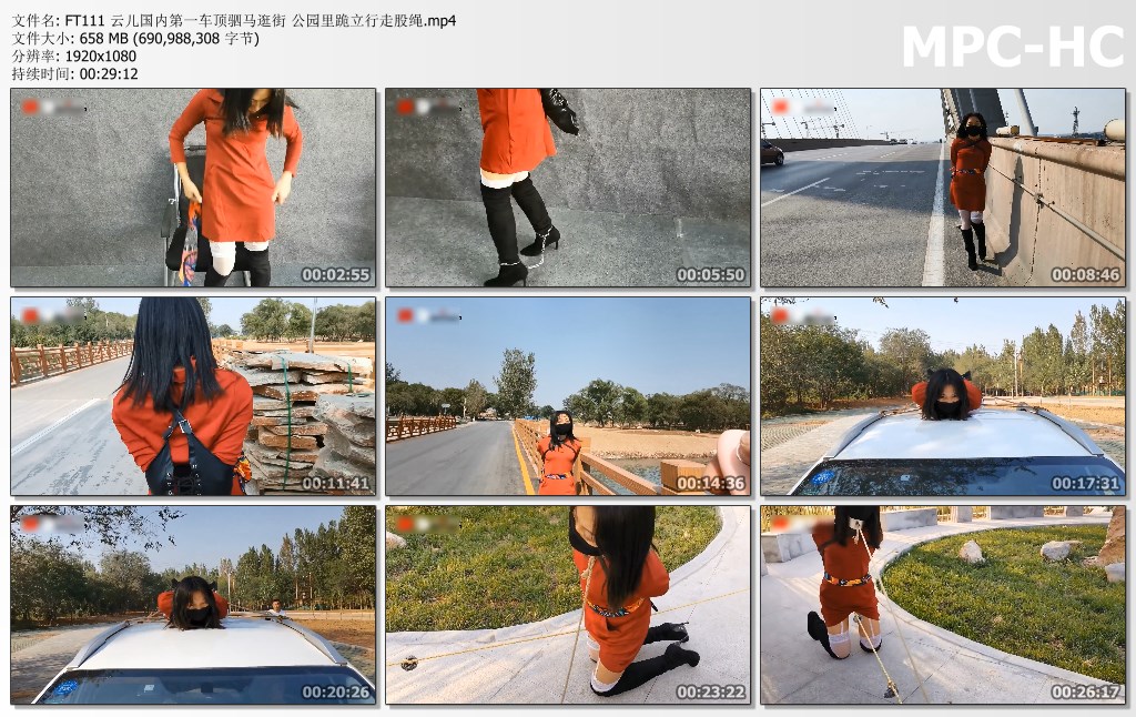 FT111 云儿国内第一车顶驷马逛街 公园里跪立行走股绳.mp4_thumbs.jpg