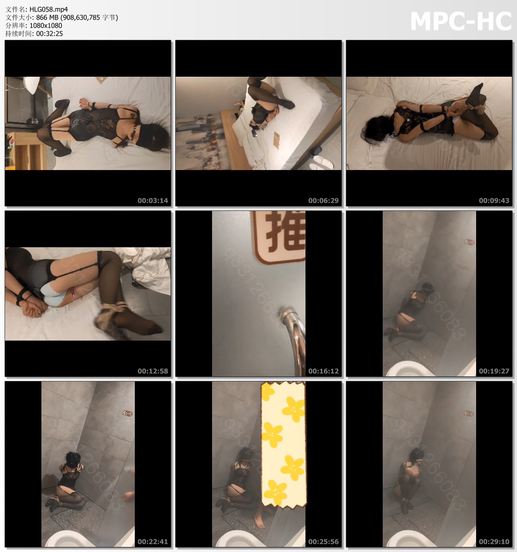 HLG058.mp4_thumbs.jpg