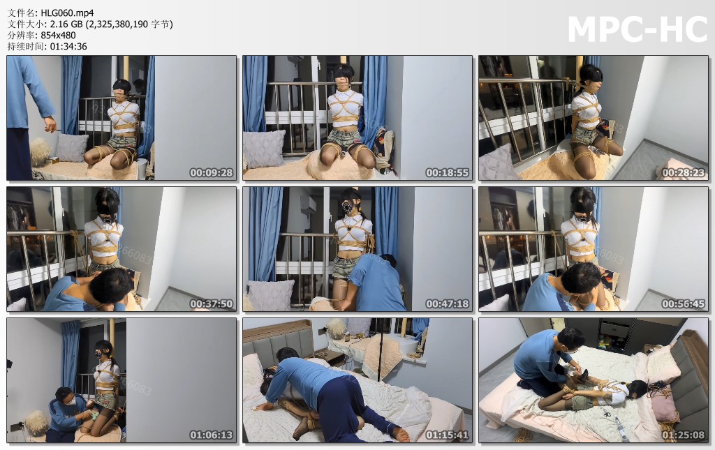 HLG060.mp4_thumbs.jpg
