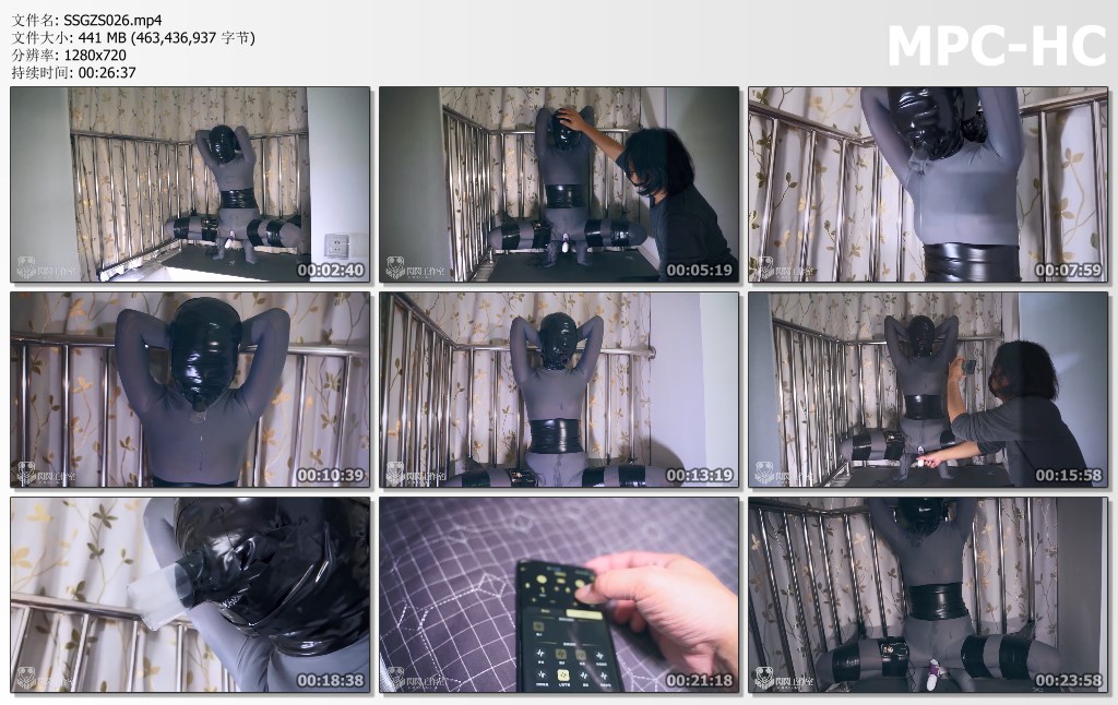 SSGZS026.mp4_thumbs.jpg