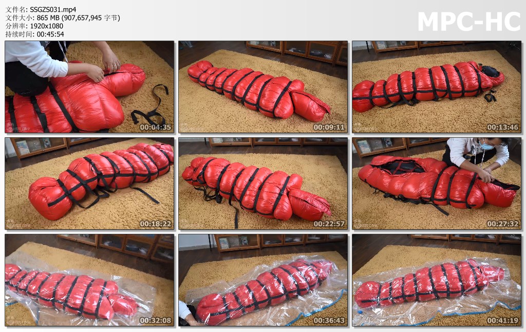SSGZS031.mp4_thumbs.jpg
