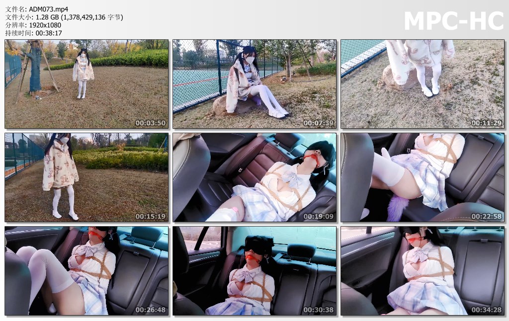ADM073.mp4_thumbs.jpg