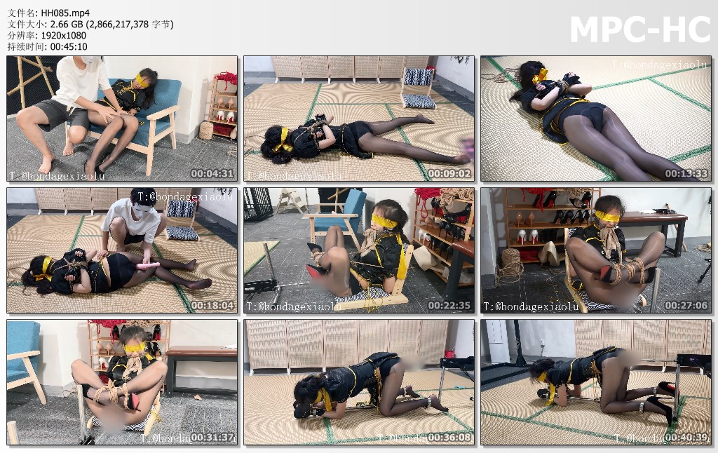 HH085.mp4_thumbs.jpg