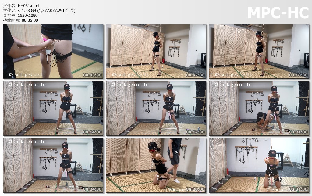 HH081.mp4_thumbs.jpg