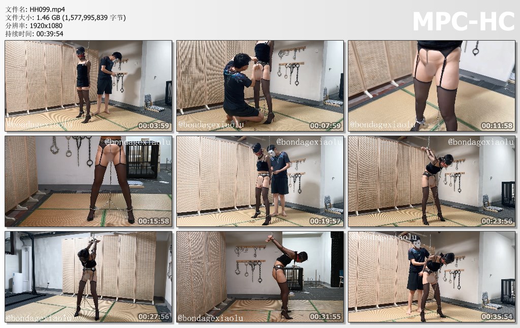 HH099.mp4_thumbs.jpg