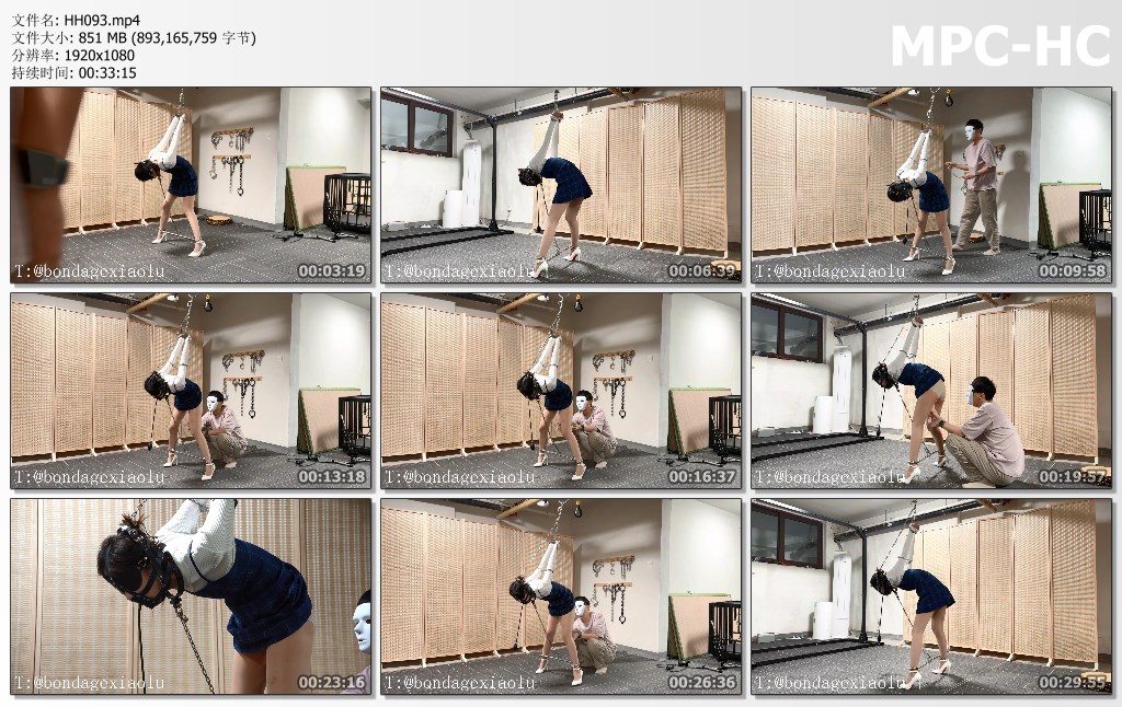 HH093.mp4_thumbs.jpg