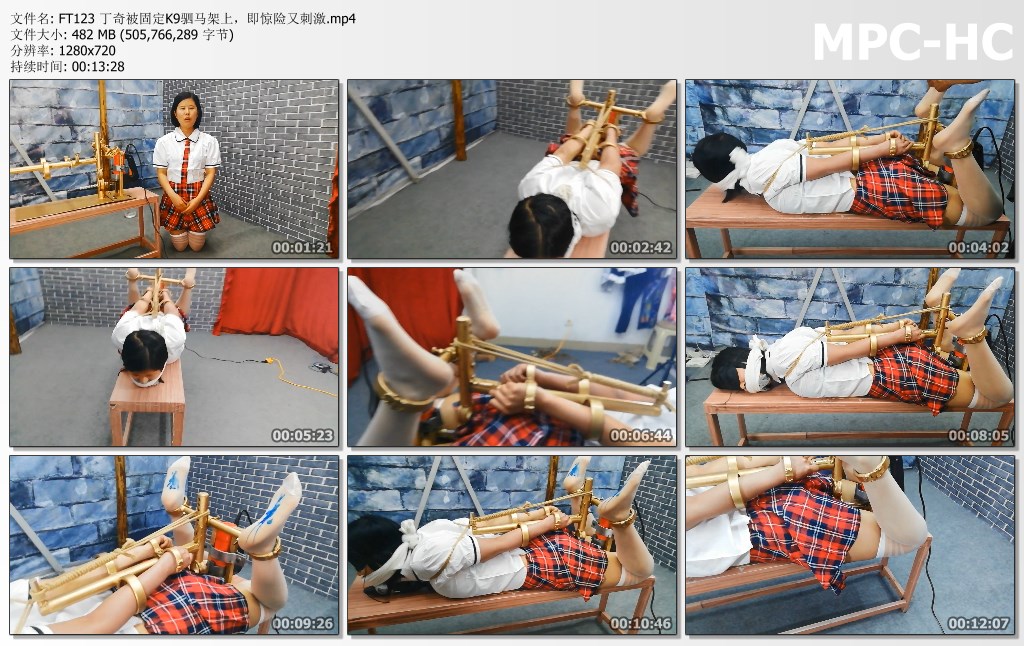 FT123 丁奇被固定K9驷马架上，即惊险又刺激.mp4_thumbs.jpg