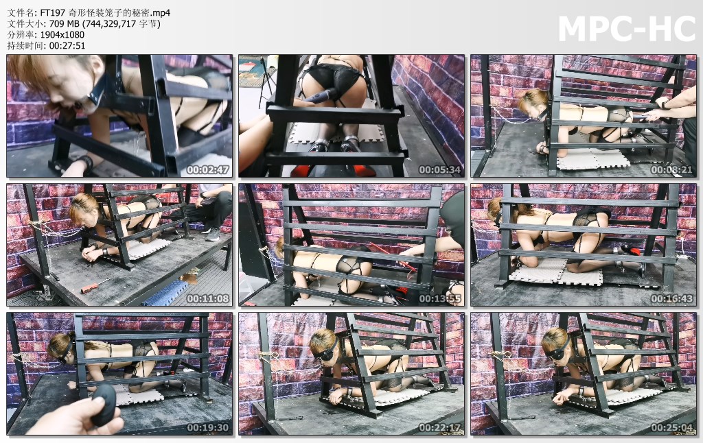 FT197 奇形怪装笼子的秘密.mp4_thumbs.jpg
