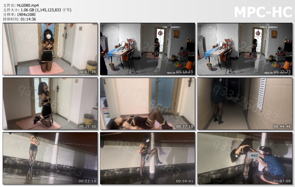 HLG080.mp4_thumbs.jpg