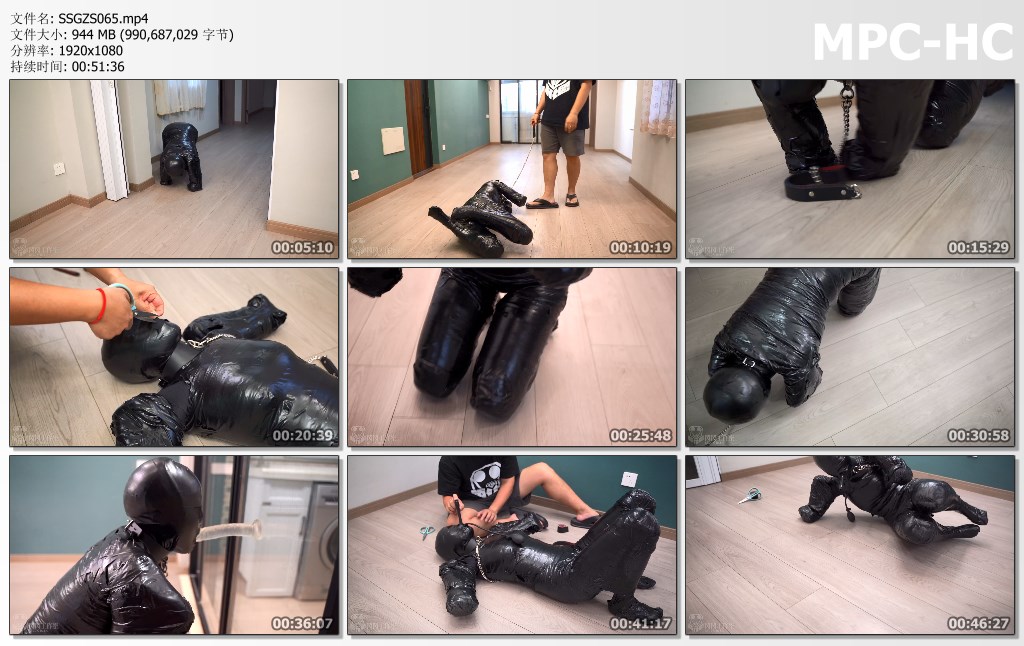 SSGZS065.mp4_thumbs.jpg