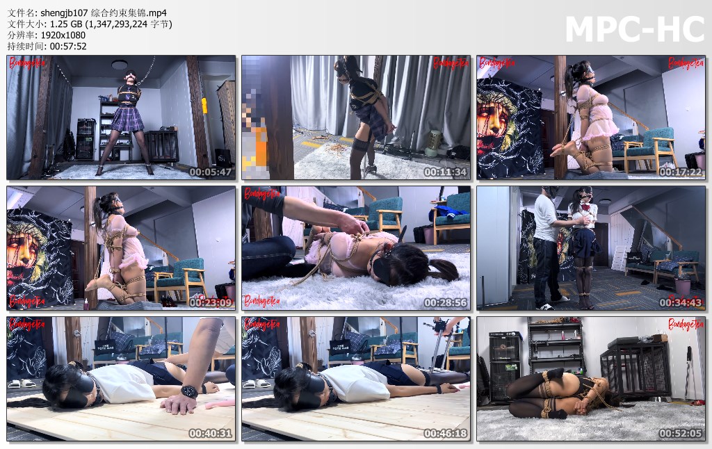 shengjb107 综合约束集锦.mp4_thumbs.jpg
