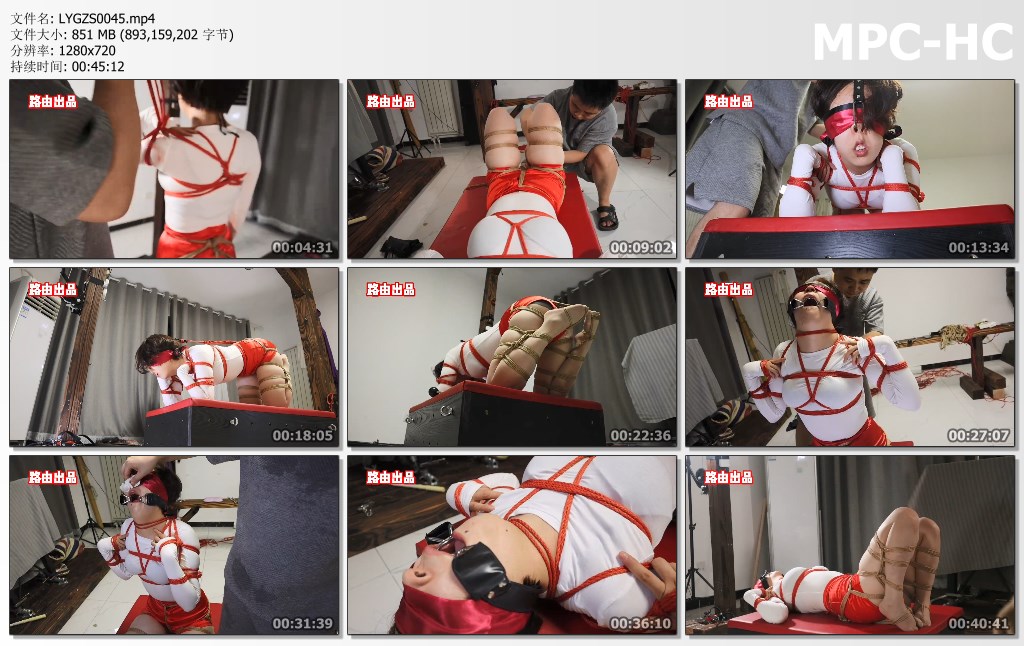 LYGZS0045.mp4_thumbs.jpg