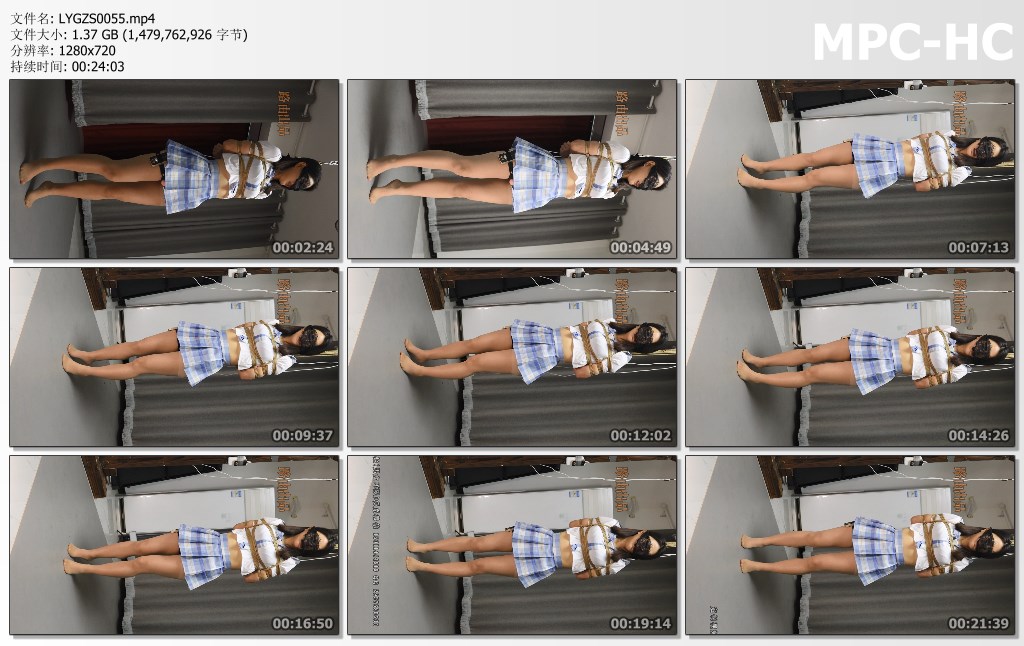 LYGZS0055.mp4_thumbs.jpg
