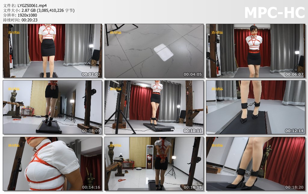 LYGZS0061.mp4_thumbs.jpg