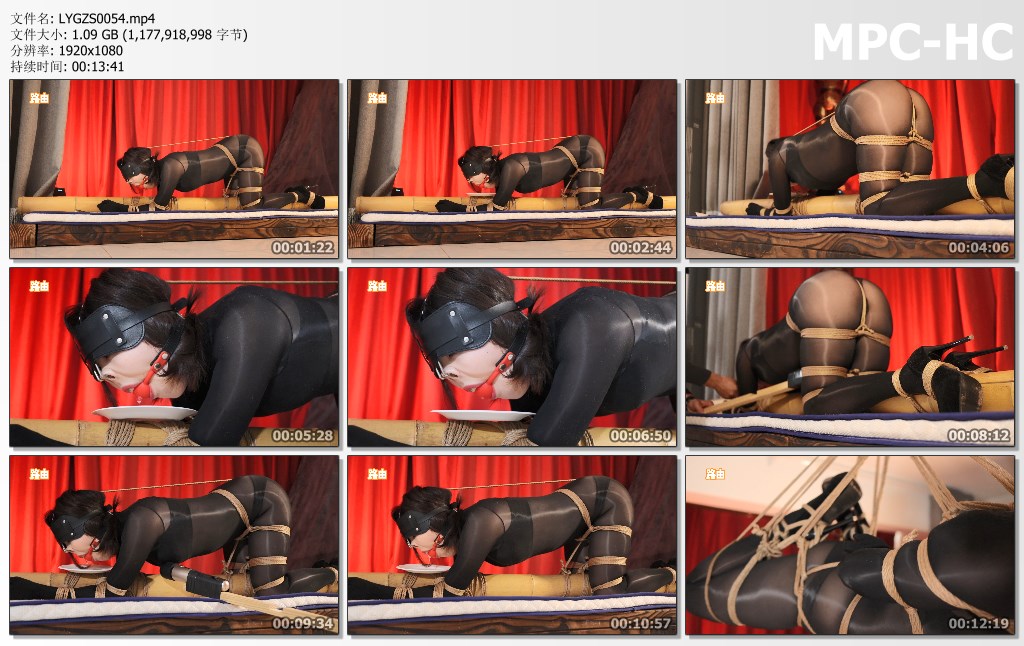 LYGZS0054.mp4_thumbs.jpg