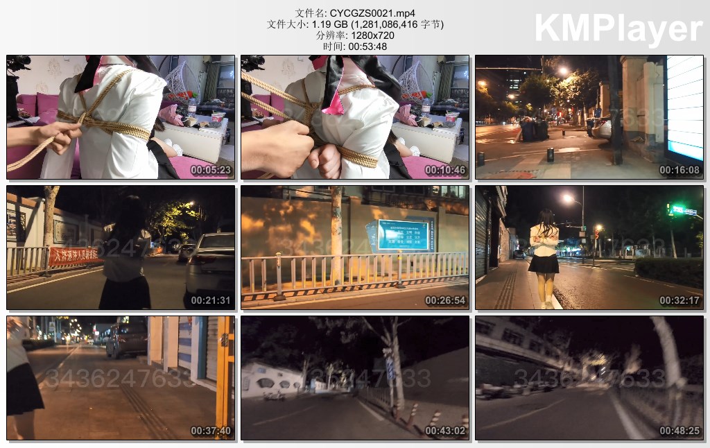 CYCGZS0021.mp4_thumbs_[2025.01.12_11.44.39].jpg
