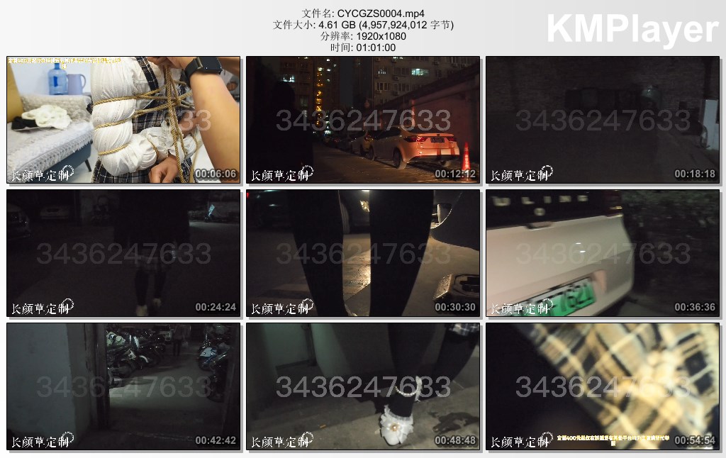 CYCGZS0004.mp4_thumbs_[2025.01.12_11.42.07].jpg