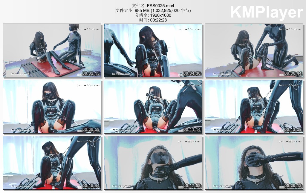FSS0025.mp4_thumbs_[2025.01.12_13.06.57].jpg