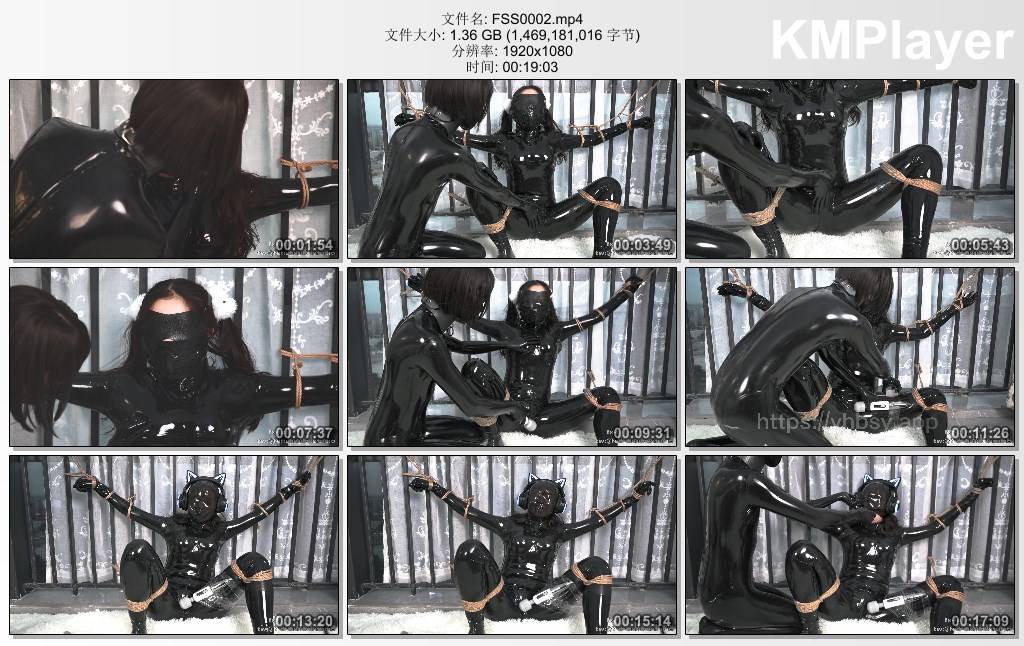 FSS0002.mp4_thumbs_[2025.01.12_13.03.18].jpg