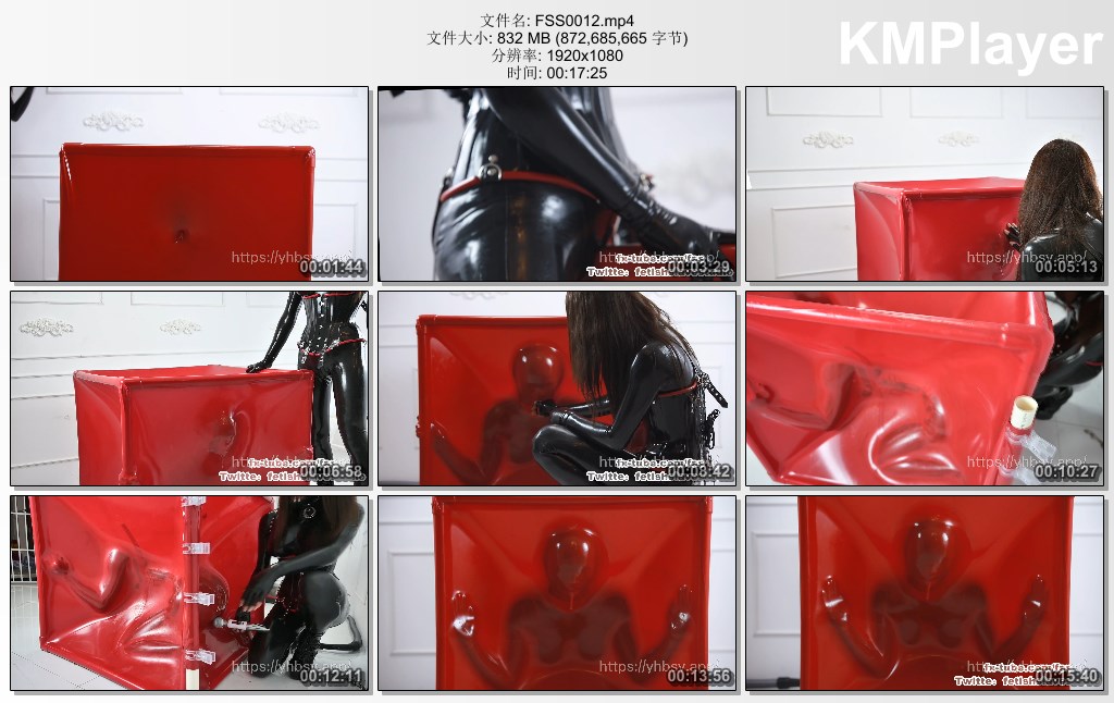 FSS0012.mp4_thumbs_[2025.01.12_13.04.57].jpg