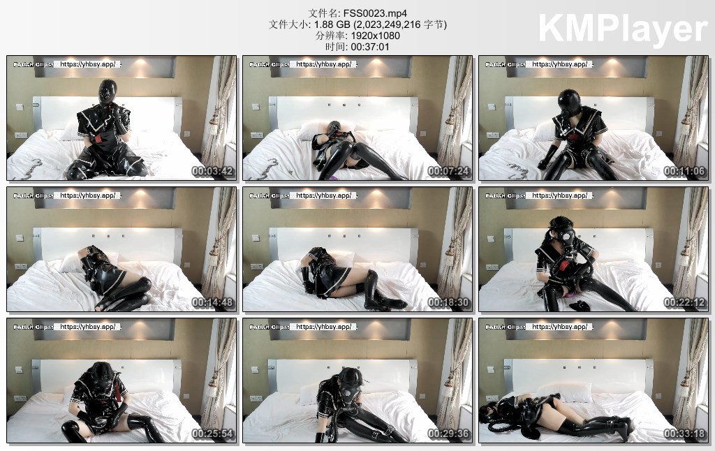 FSS0023.mp4_thumbs_[2025.01.12_13.06.38].jpg