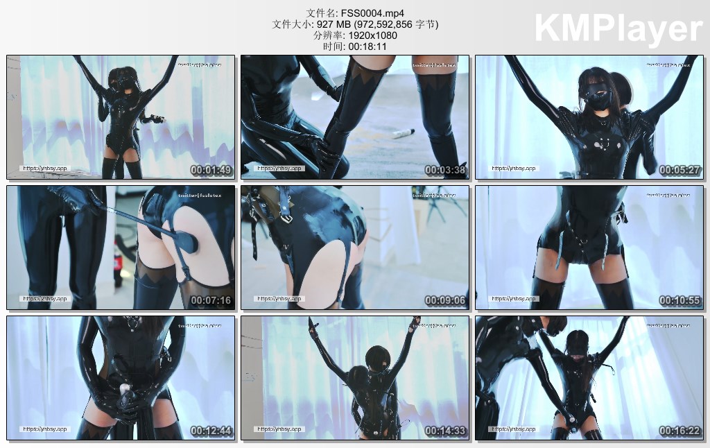 FSS0004.mp4_thumbs_[2025.01.12_13.03.41].jpg