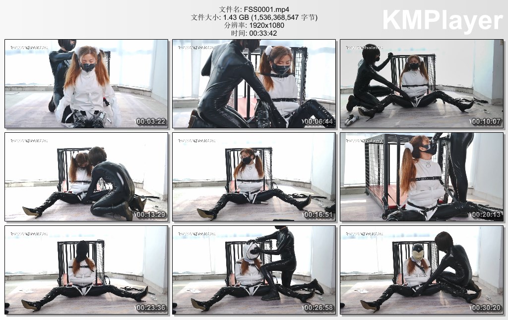 FSS0001.mp4_thumbs_[2025.01.12_13.03.04].jpg