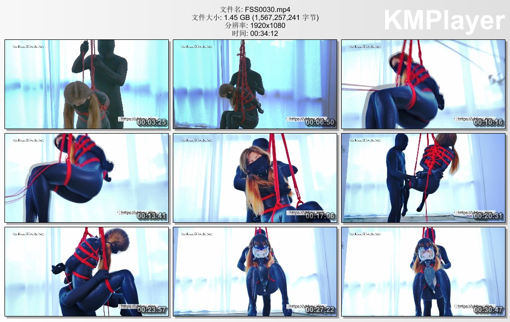 FSS0030.mp4_thumbs_[2025.01.12_13.07.37].jpg