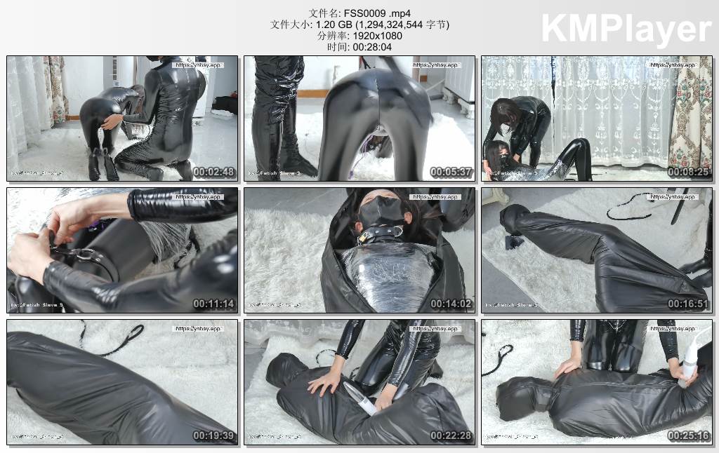 FSS0009 .mp4_thumbs_[2025.01.12_13.47.33].jpg