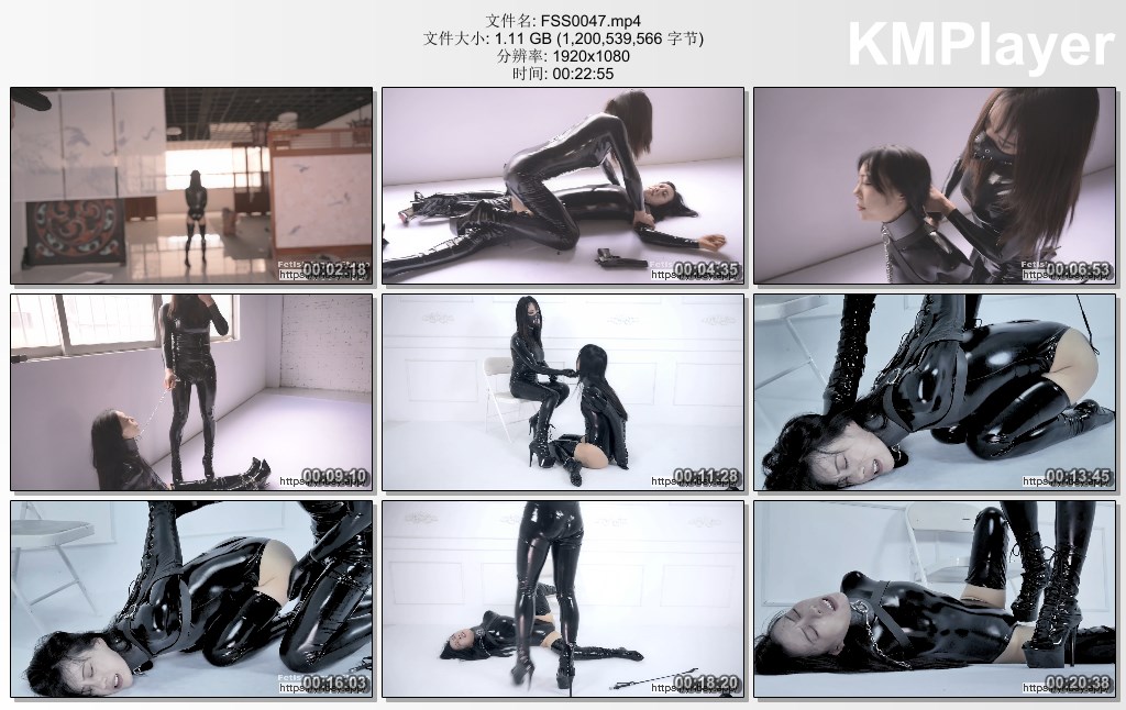 FSS0047.mp4_thumbs_[2025.01.12_13.10.11].jpg