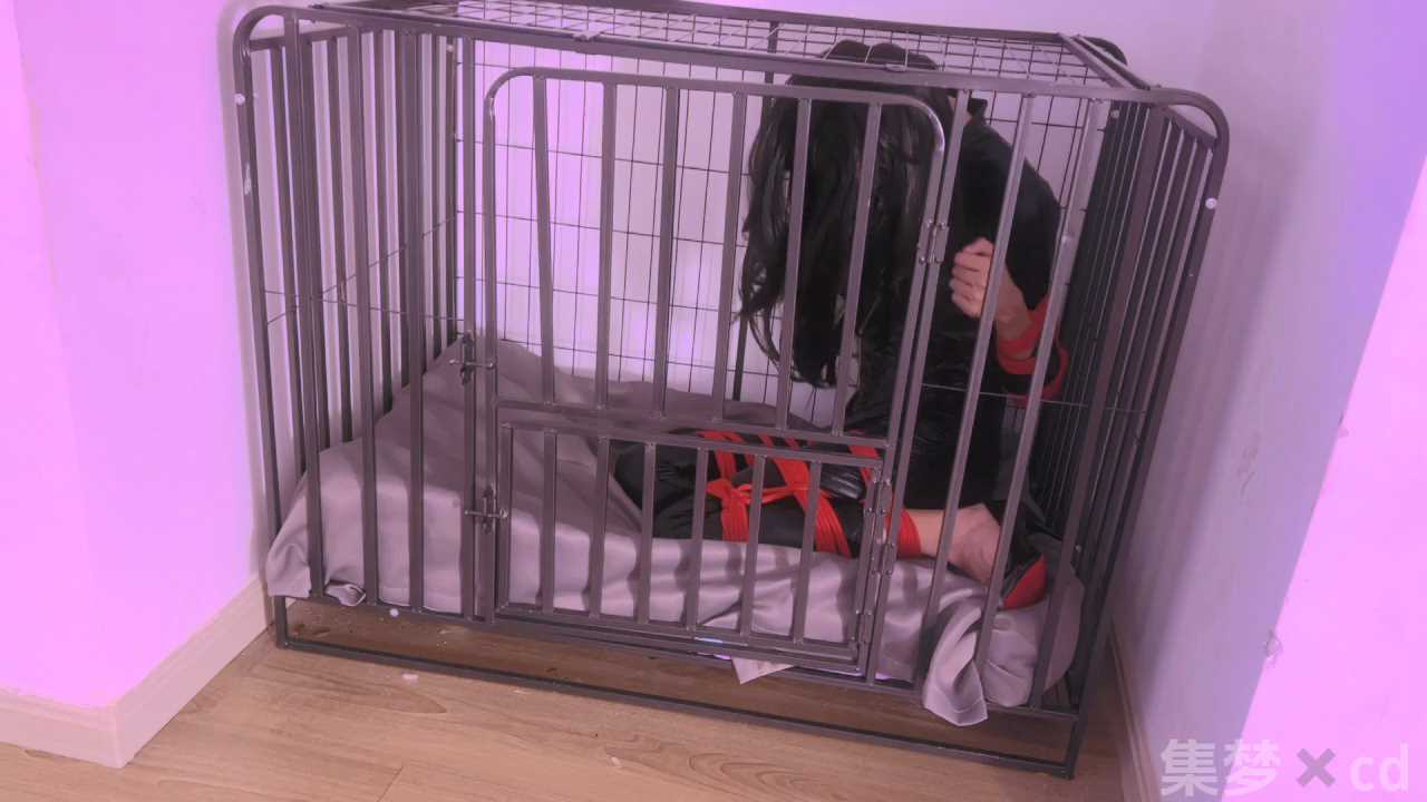 JMGZS0018.mp4_snapshot_08.00_[2025.01.12_16.15.01].jpg