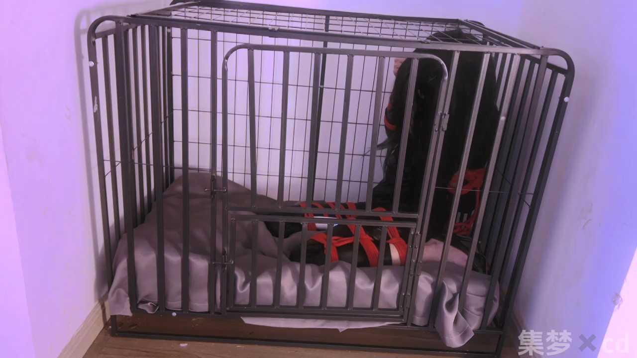 JMGZS0018.mp4_snapshot_22.31_[2025.01.12_16.15.03].jpg