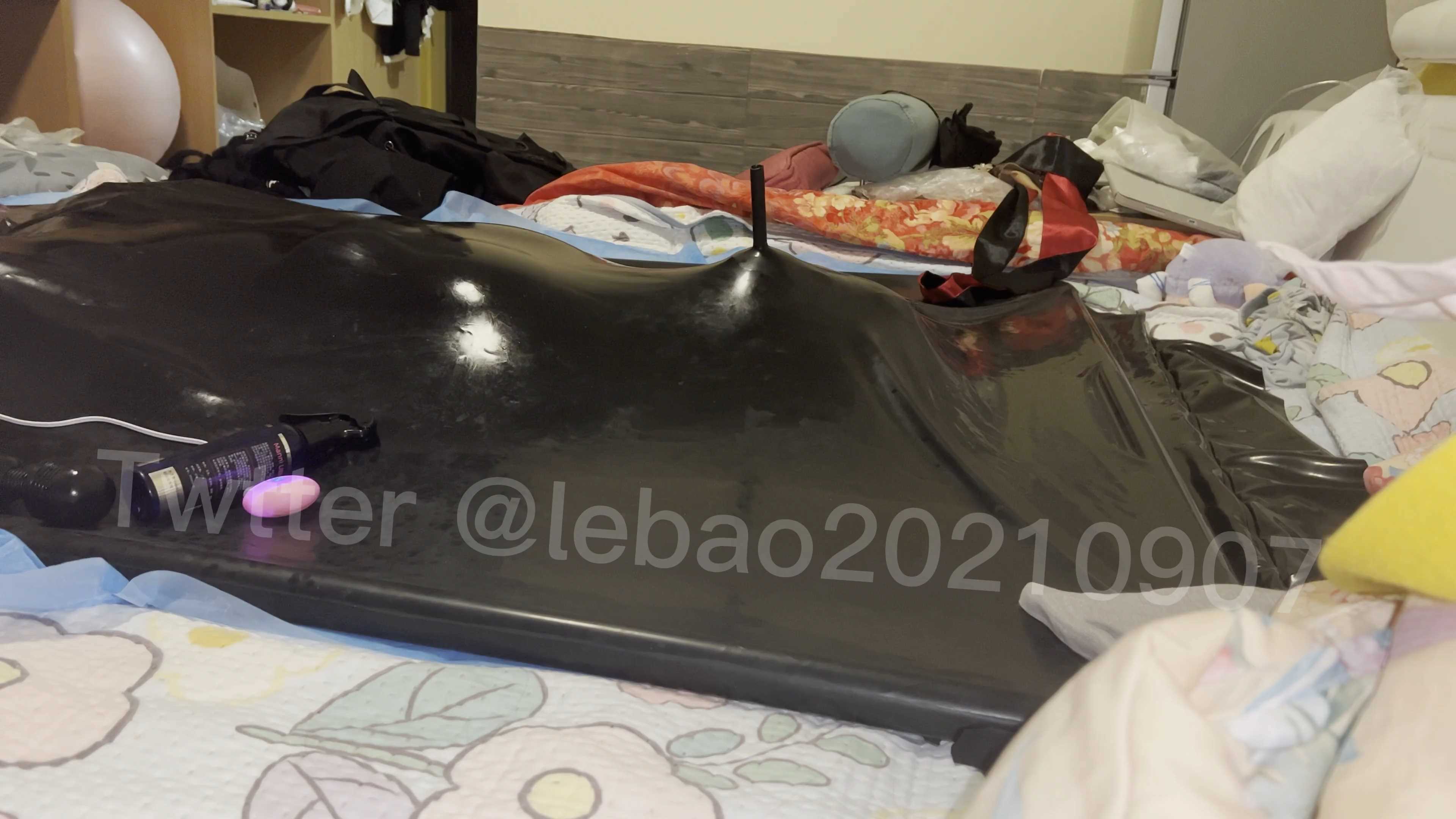 LEBAO0013.mp4_snapshot_06.45_[2025.01.13_08.45.00].jpg