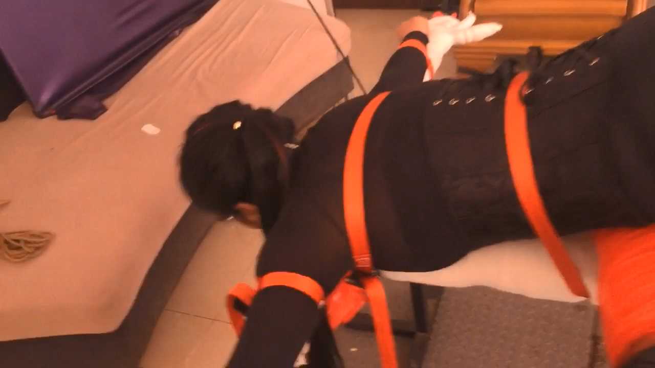 LYGZS0049.mp4_snapshot_10.30_[2025.01.13_16.16.53].jpg