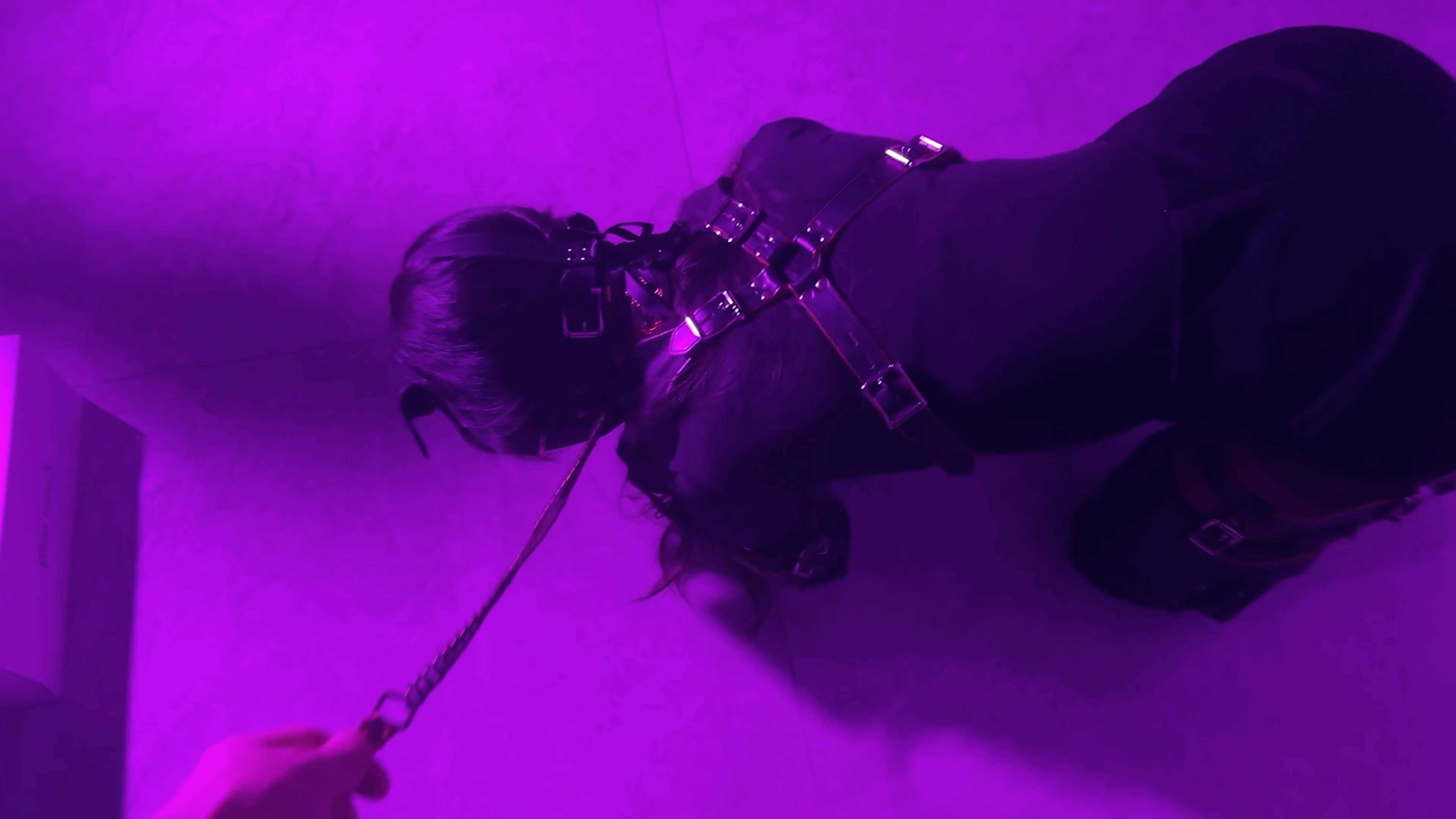 HH027.mp4_snapshot_14.03_[2025.01.15_09.30.14].jpg