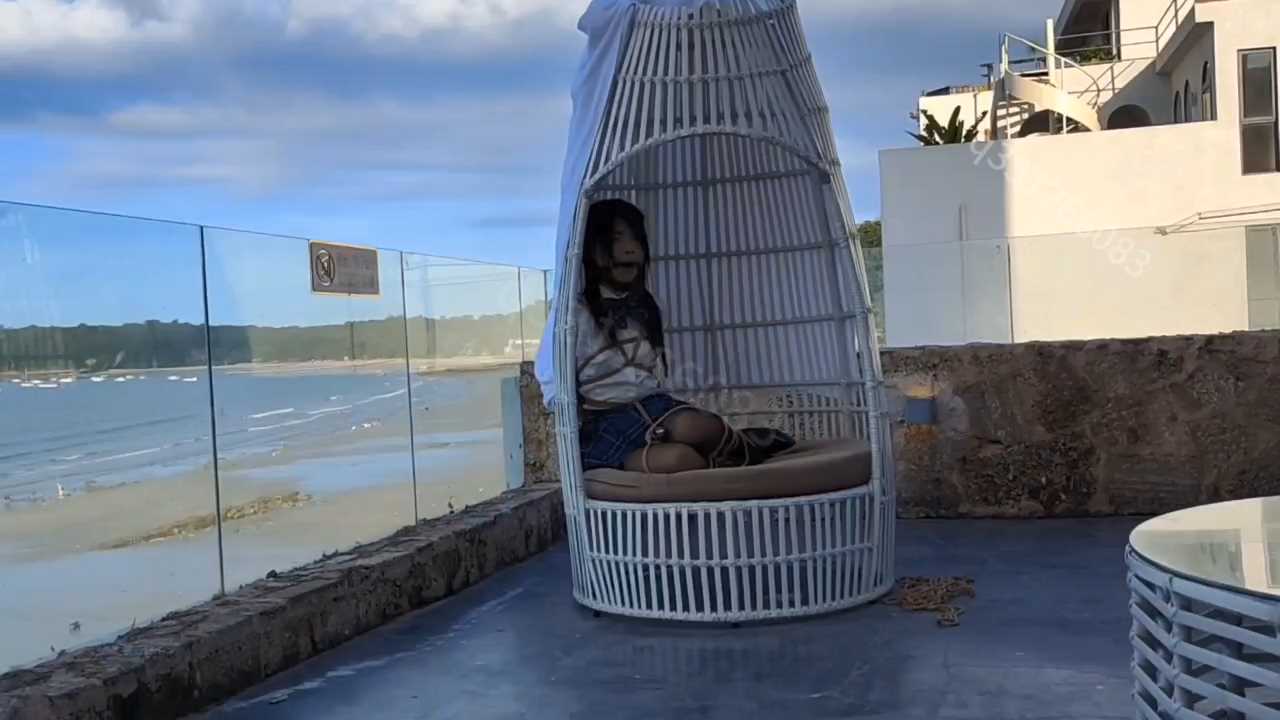 HLG045.mp4_snapshot_00.11.51_[2025.01.15_19.51.02].jpg
