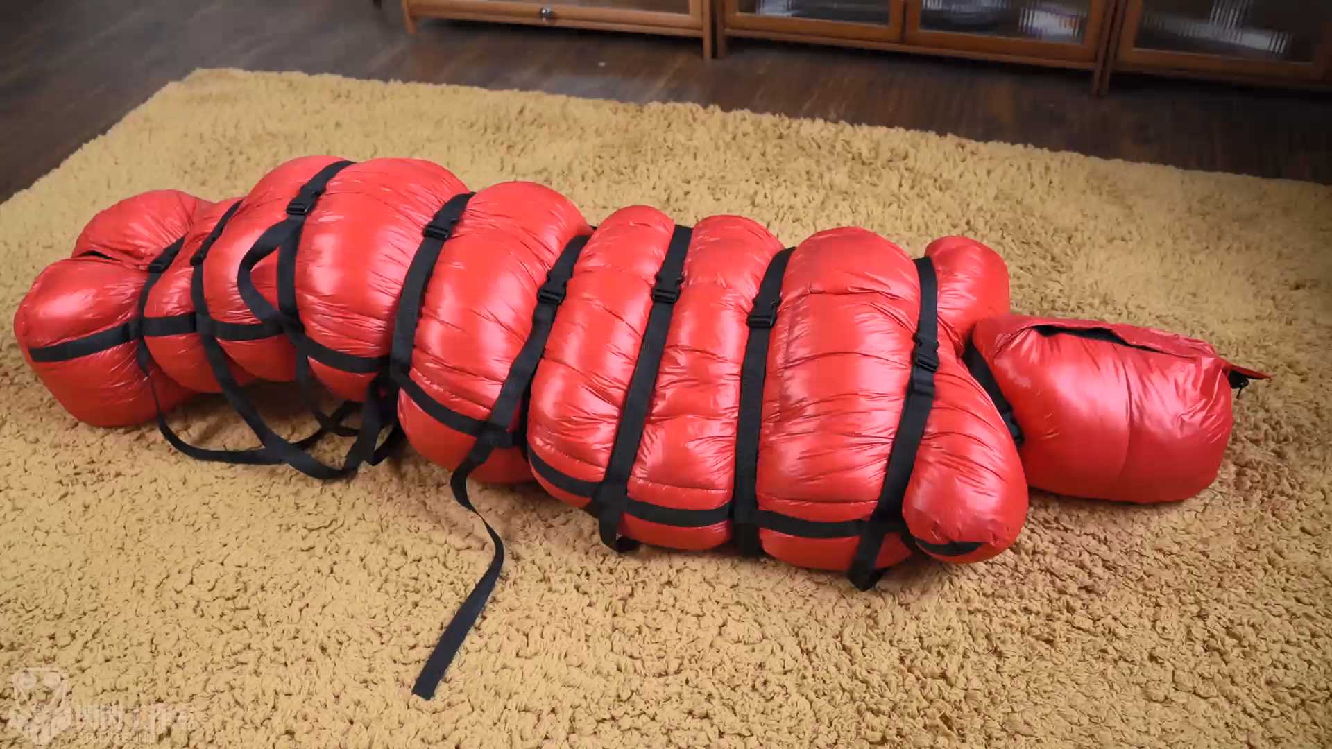 SSGZS031.mp4_snapshot_17.52_[2025.01.15_20.32.48].jpg
