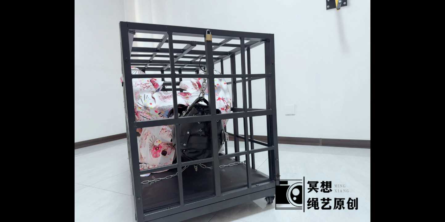 MXYC0002.mp4_snapshot_18.04_[2025.01.17_19.37.46].jpg
