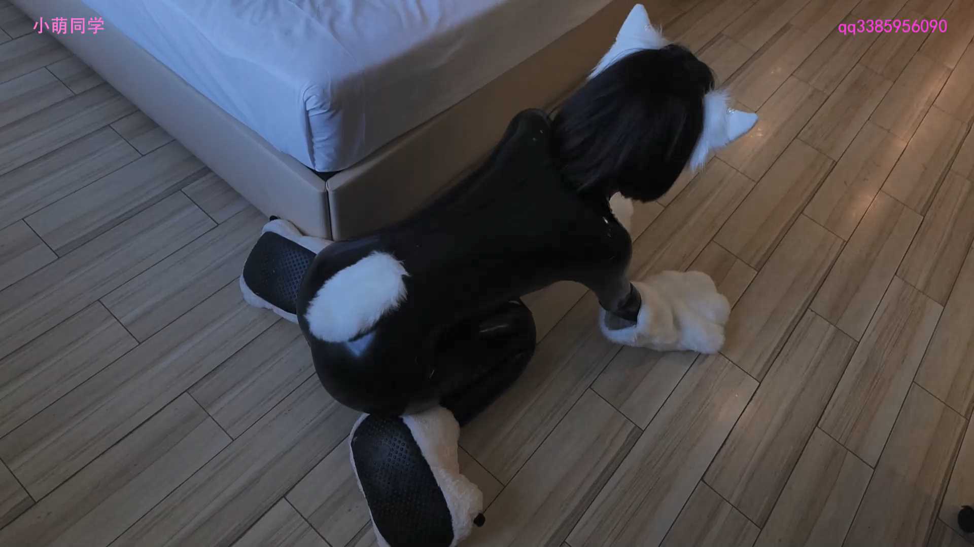 XIAOMENG041 latex小猫咪，乳胶兽装GC，防毒面具的惩罚调教.mp4_snapshot_02.55_[2025.jpg