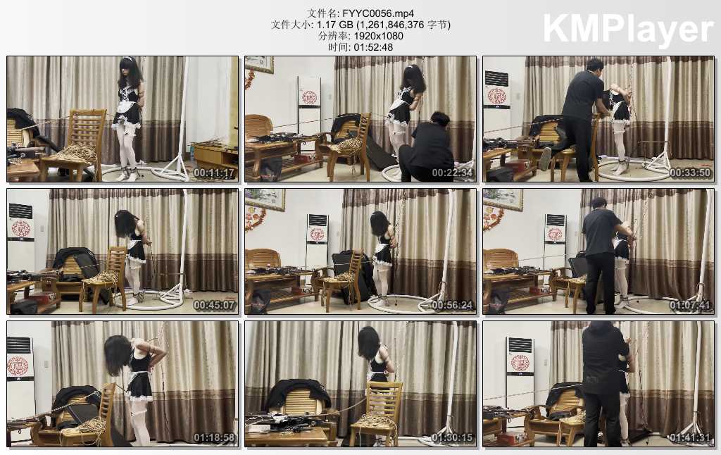 FYYC0056.mp4_thumbs_[2025.01.19_16.37.41].jpg