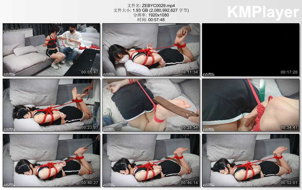 ZEBYC0029.mp4_thumbs_[2025.01.19_17.28.01].jpg