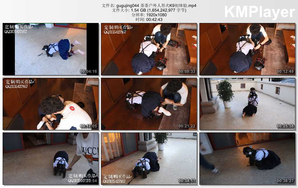 gugujing044 茶茶户外人形犬K9初体验.mp4_thumbs_[2025.01.22_16.35.08].jpg