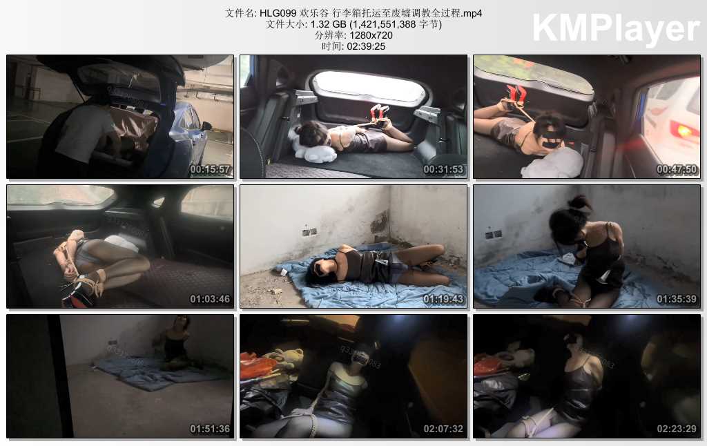 HLG099 欢乐谷 行李箱托运至废墟调教全过程.mp4_thumbs_[2025.02.10_12.03.34].jpg