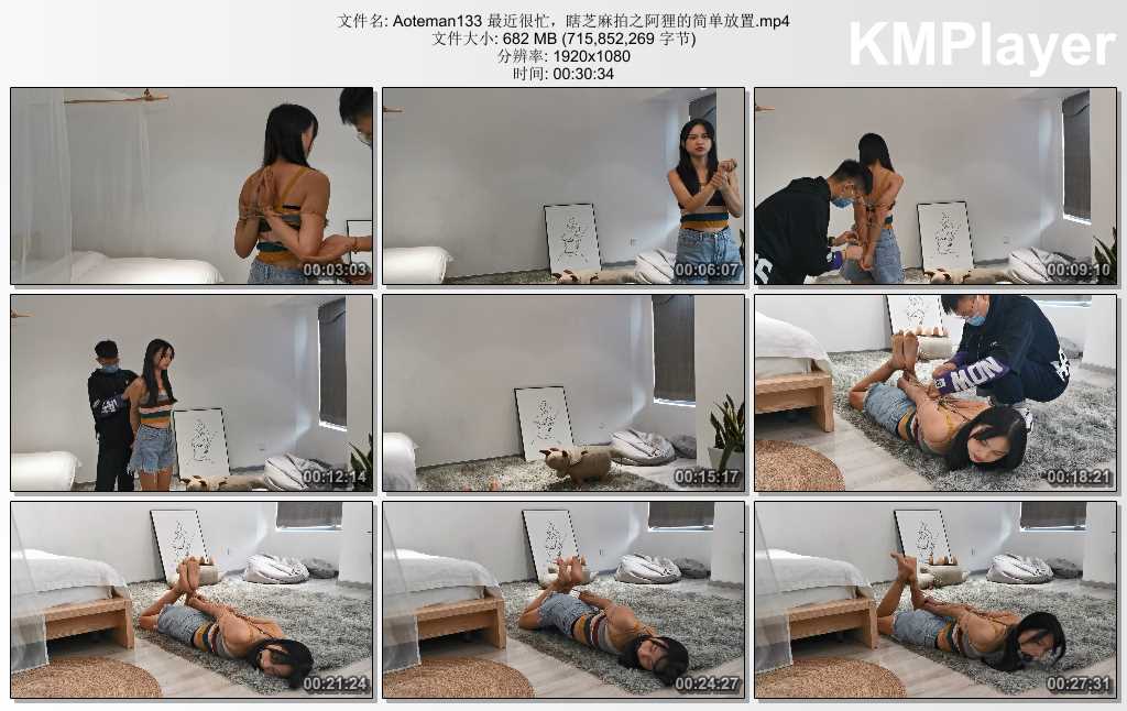 Aoteman133 最近很忙，瞎芝麻拍之阿狸的简单放置.mp4_thumbs_[2025.02.02_19.42.43].jpg
